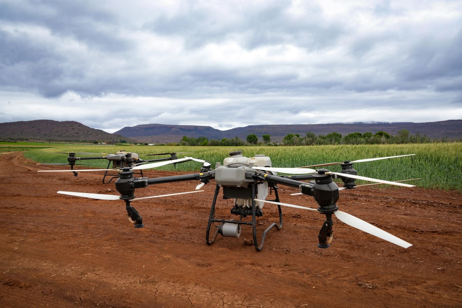 Precision agriculture drones in the field: skipping traditional machinery